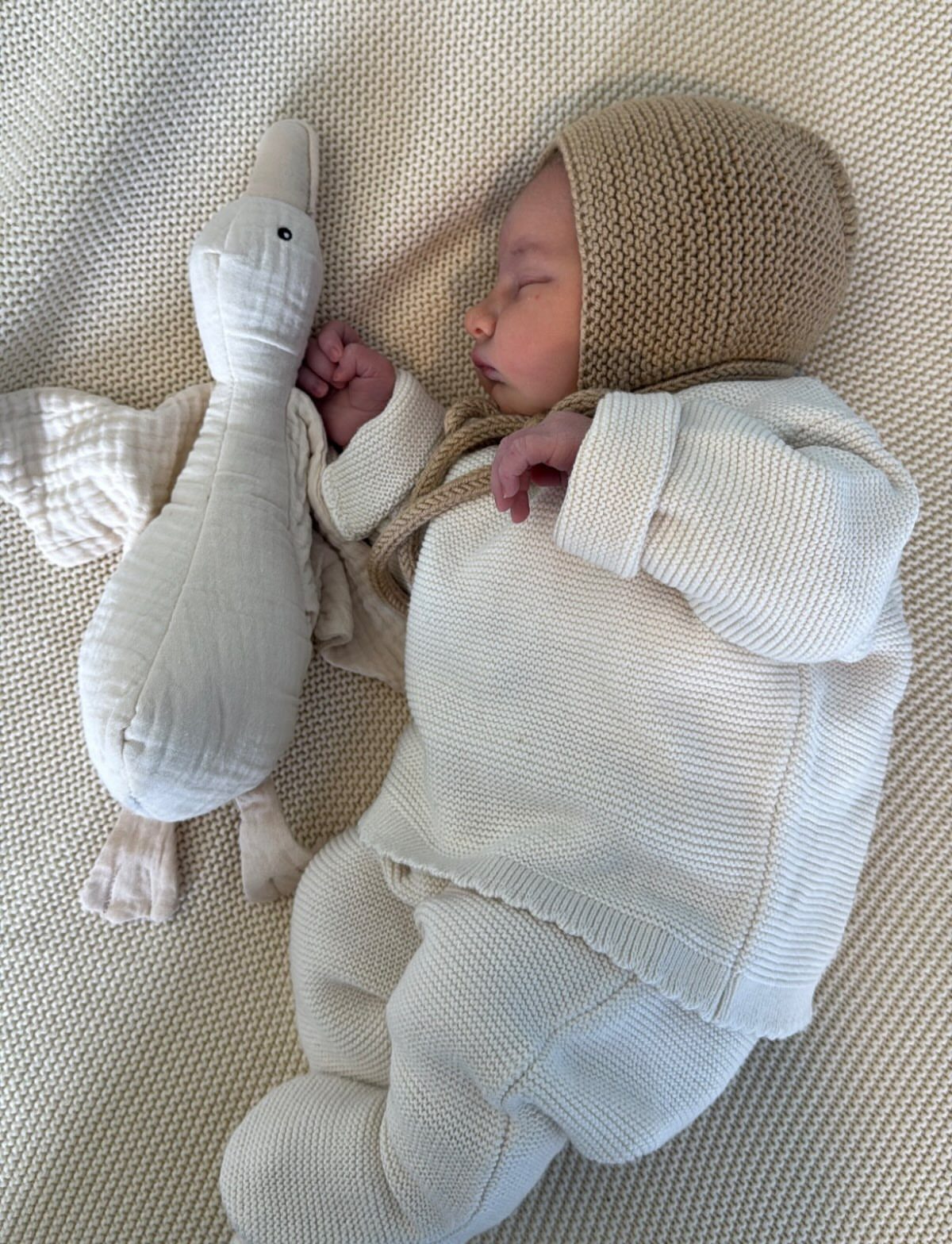 Sleeping newborn baby in cream knitted clothing and tan bonnet with plush goose.