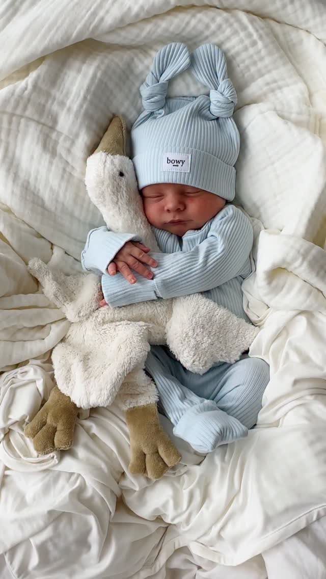 Sleeping newborn baby in light blue ribbed knit clothes cuddling a plush goose.