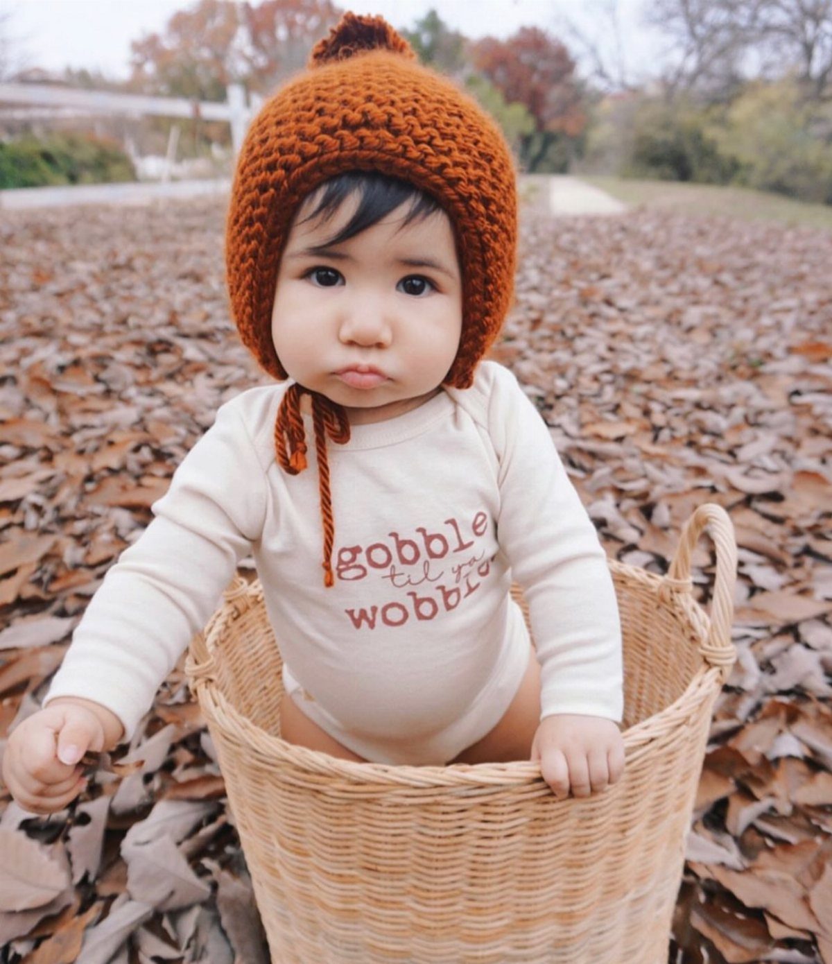 Baby in a wicker basket wearing a Gobble til you Wobble onesie and beanie.