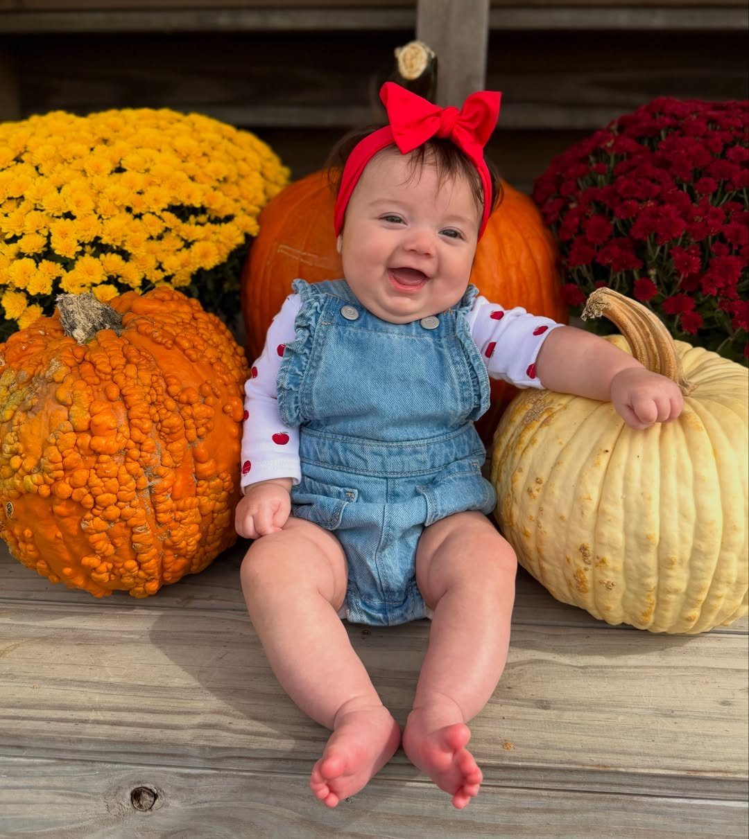 Baby girl in denim overalls and red bow sitting among autumn pumpkins.