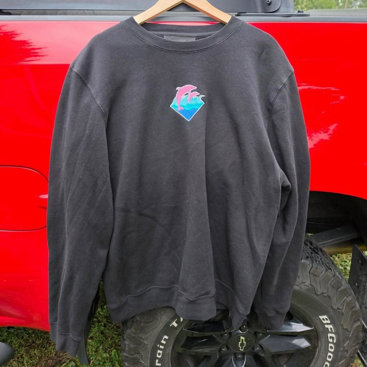 Pink Dolphin Clothing: 7 Ideas for Hoodies, Hats and More 4 Black sweatshirt with a pink and blue dolphin graphic hanging on a truck